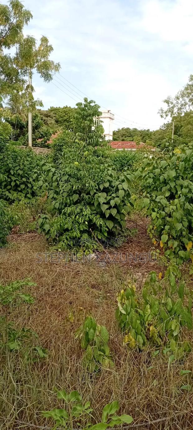 End of 2nd Row 1/2 Acre Plot at Diani Beach Manyata Zone - thumbnail 2