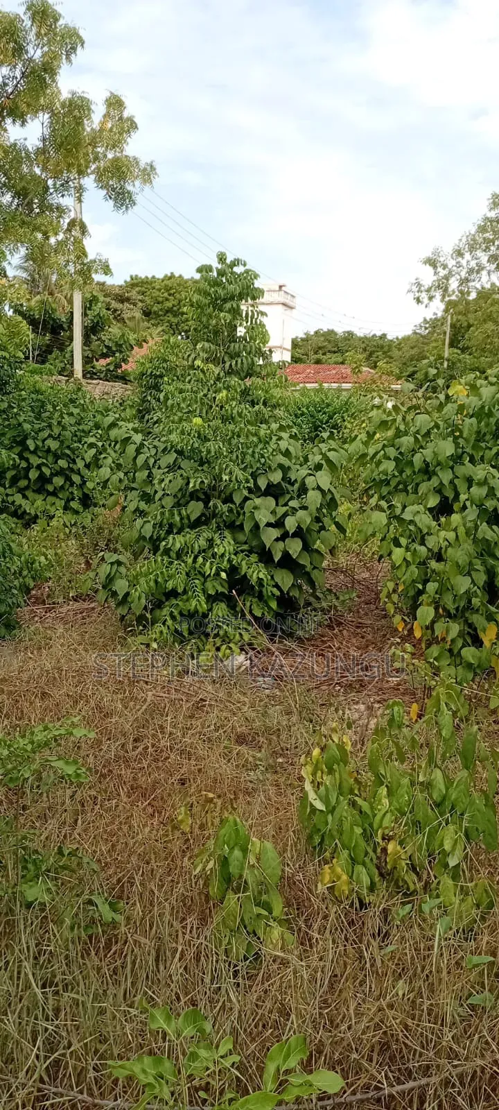 End of 2nd Row 1/2 Acre Plot at Diani Beach Manyata Zone