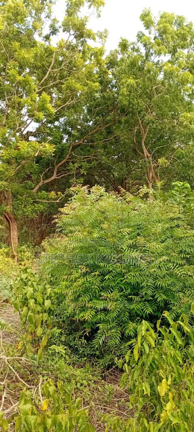 End of 2nd Row 1/2 Acre Plot at Diani Beach Manyata Zone - thumbnail 15