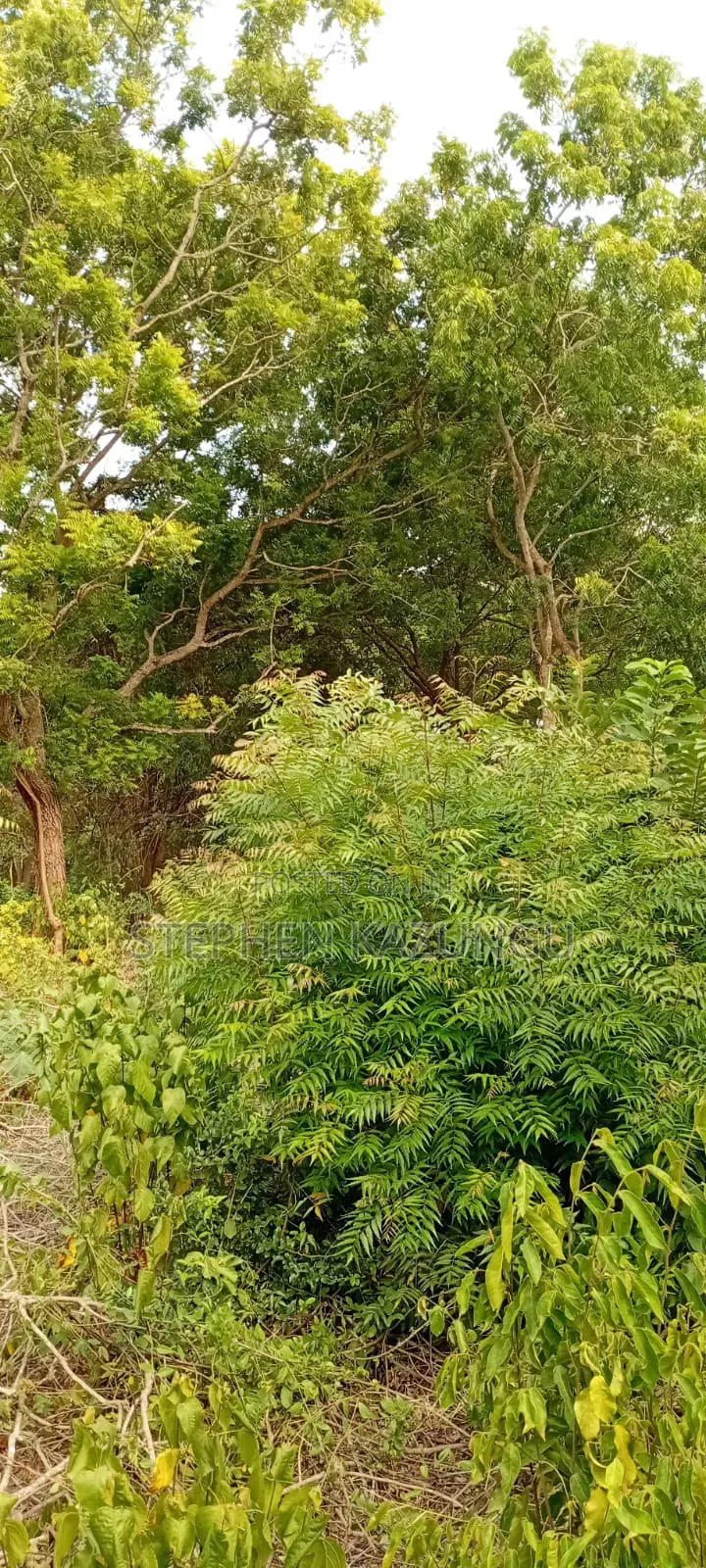 End of 2nd Row 1/2 Acre Plot at Diani Beach Manyata Zone