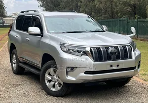Toyota Land Cruiser Prado 2.8 2019 Silver