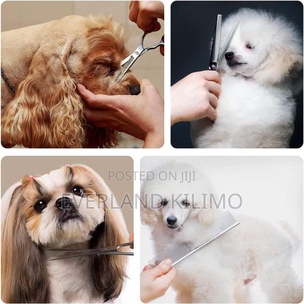 Grooming Curved/Serrated Scissor Kit - main view