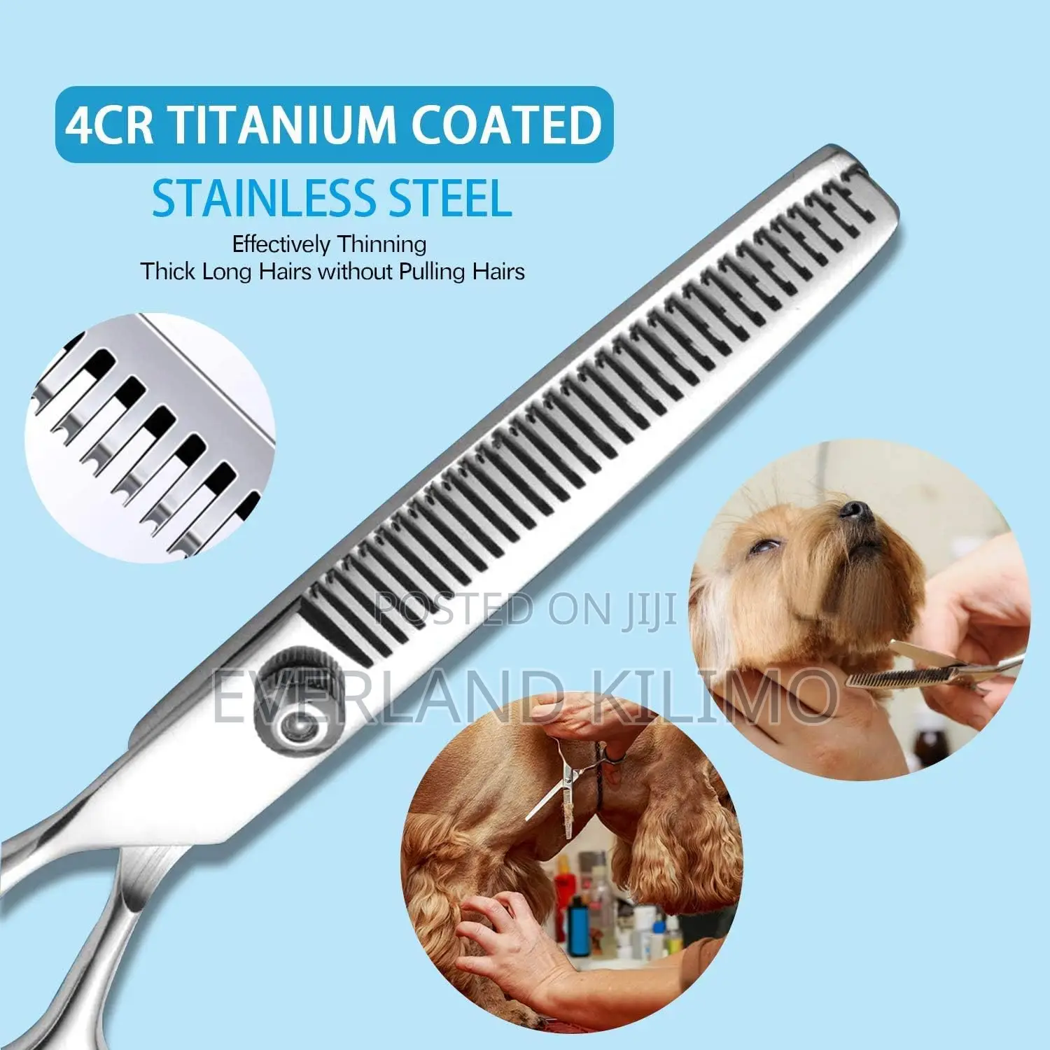 Grooming Set (Comb/Curved Sissor/Serrated Scissor)