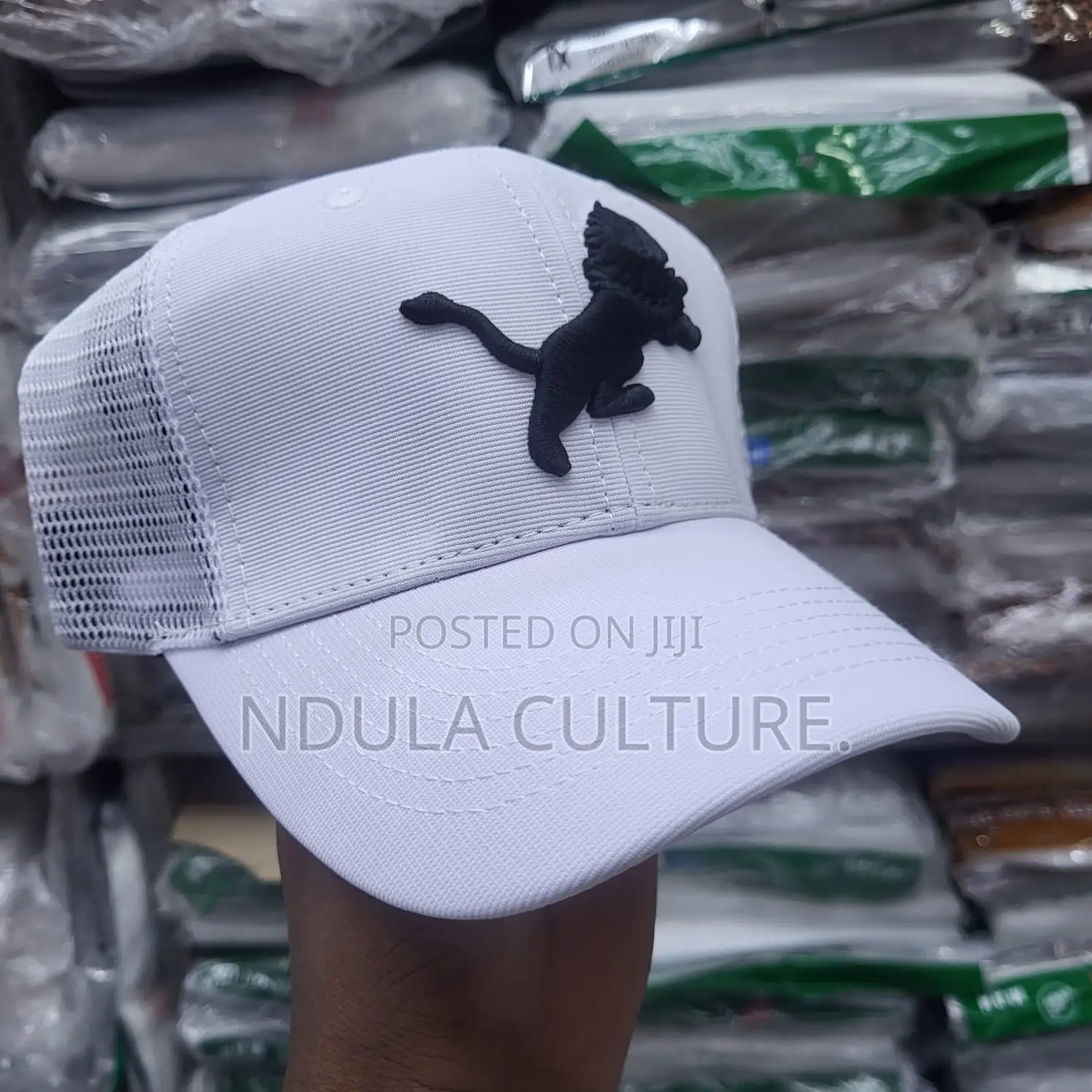 Trapper Hats