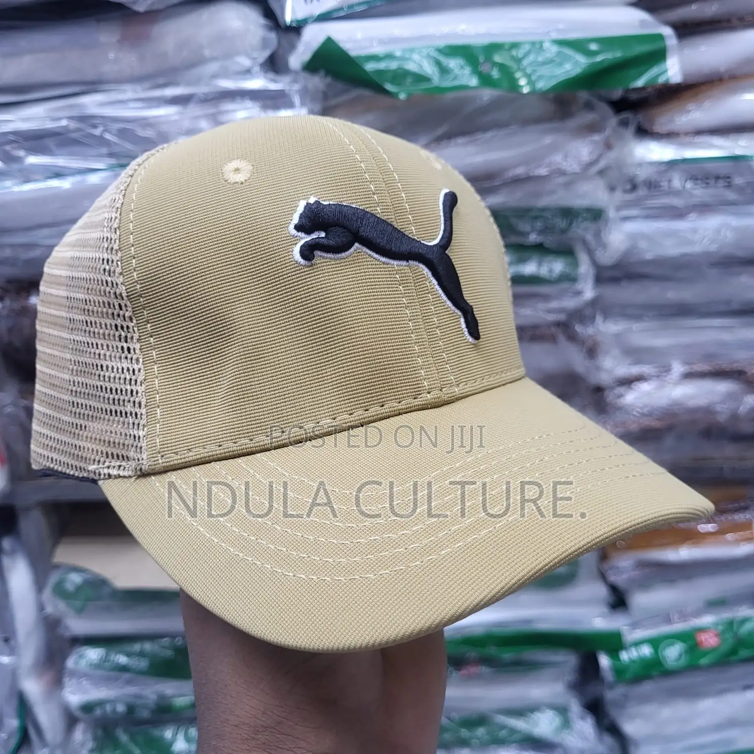 Trapper Hats