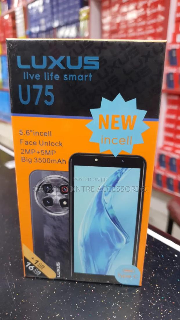 New Orange Miami - thumbnail 3