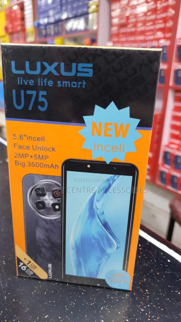 New Orange Miami - thumbnail 4