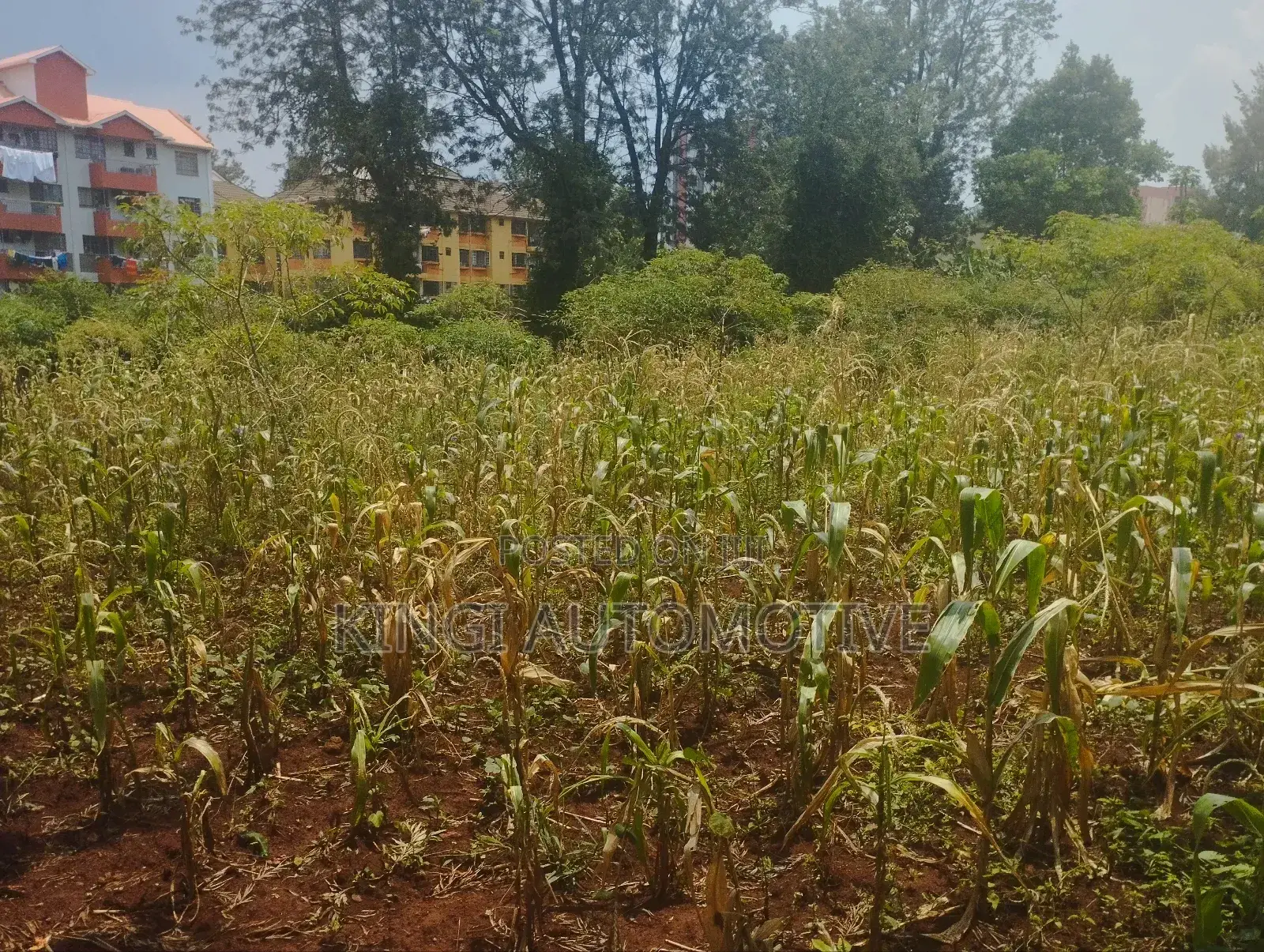 3 Quarter an Acre for Sale in Thindigua