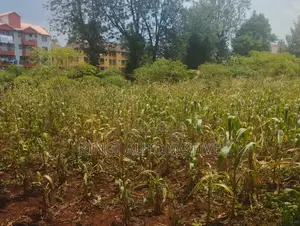 3 Quarter an Acre for Sale in Thindigua