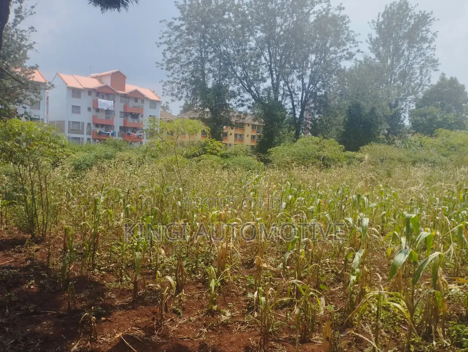 3 Quarter an Acre for Sale in Thindigua