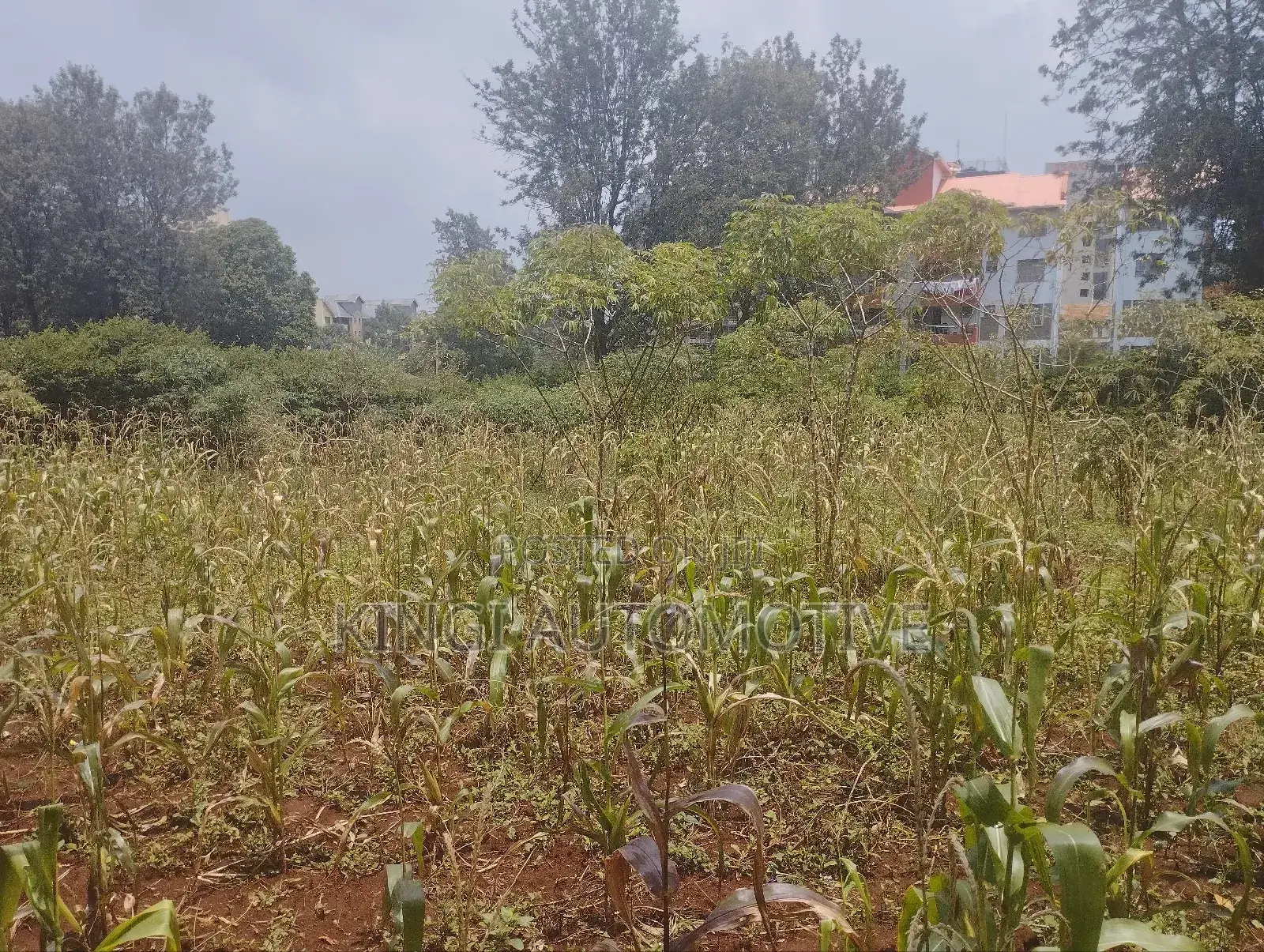 3 Quarter an Acre for Sale in Thindigua