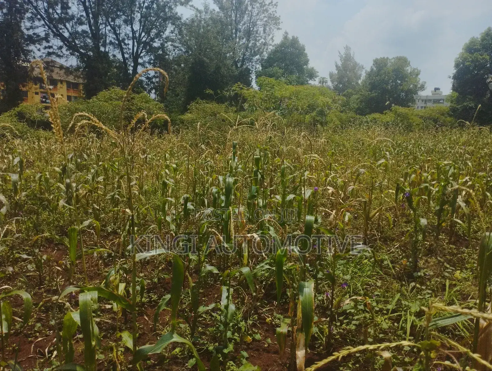 3 Quarter an Acre for Sale in Thindigua