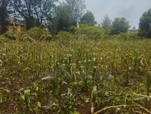 3 Quarter an Acre for Sale in Thindigua