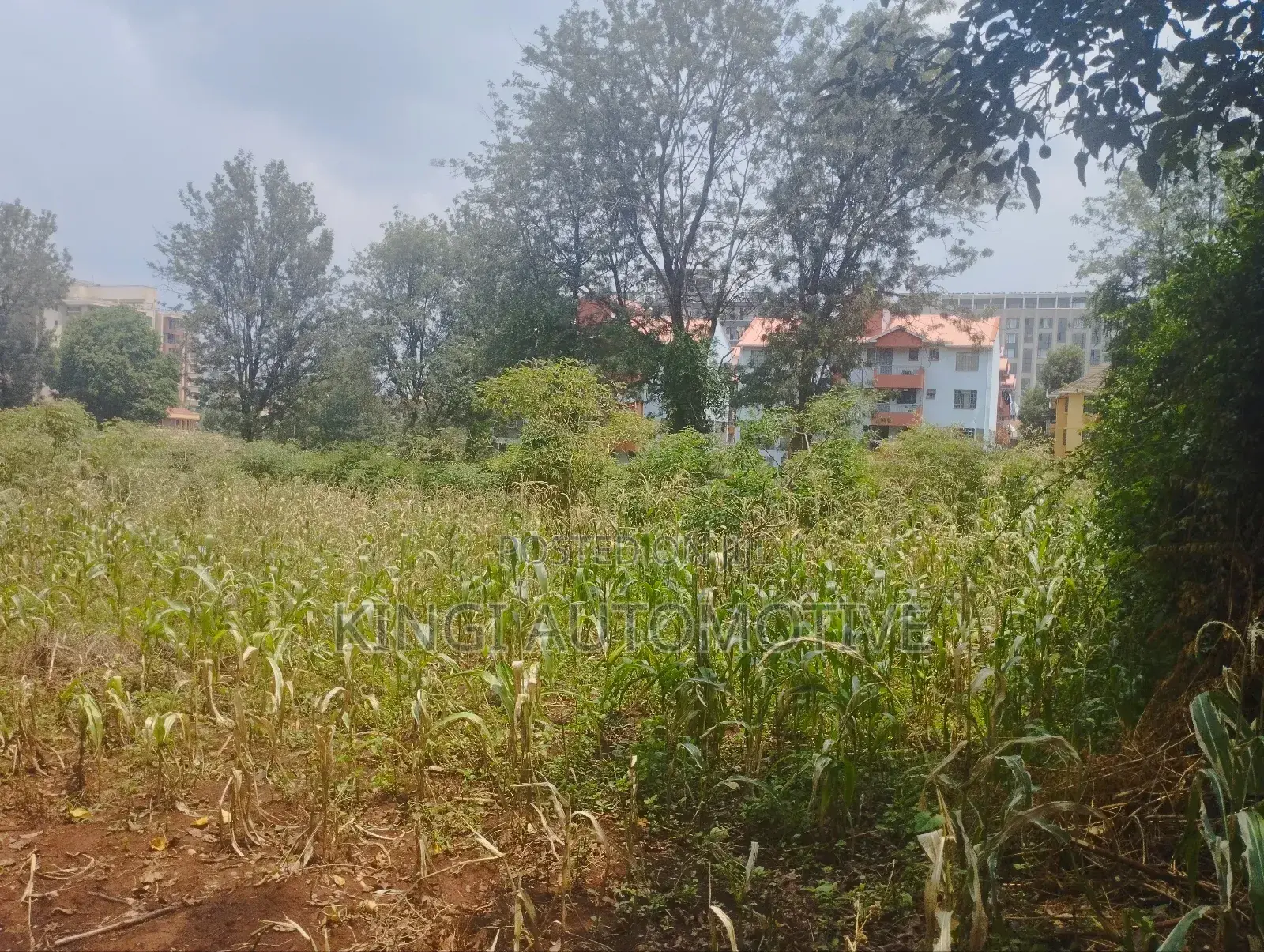 3 Quarter an Acre for Sale in Thindigua