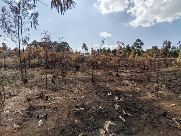 Half an Acre for Sale in Migumoini Kikuyu Kiambu County. - thumbnail 2