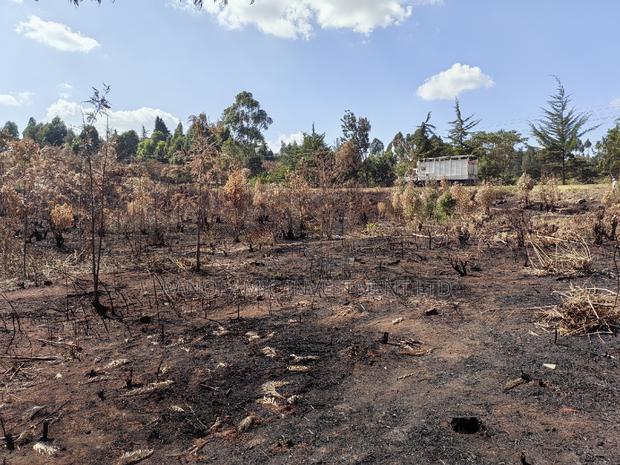 Half an Acre for Sale in Migumoini Kikuyu Kiambu County. - thumbnail 3