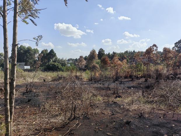 Half an Acre for Sale in Migumoini Kikuyu Kiambu County. - thumbnail 5