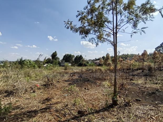 Half an Acre for Sale in Migumoini Kikuyu Kiambu County. - thumbnail 6
