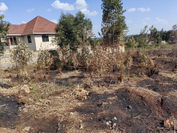 Half an Acre for Sale in Migumoini Kikuyu Kiambu County. - thumbnail 9