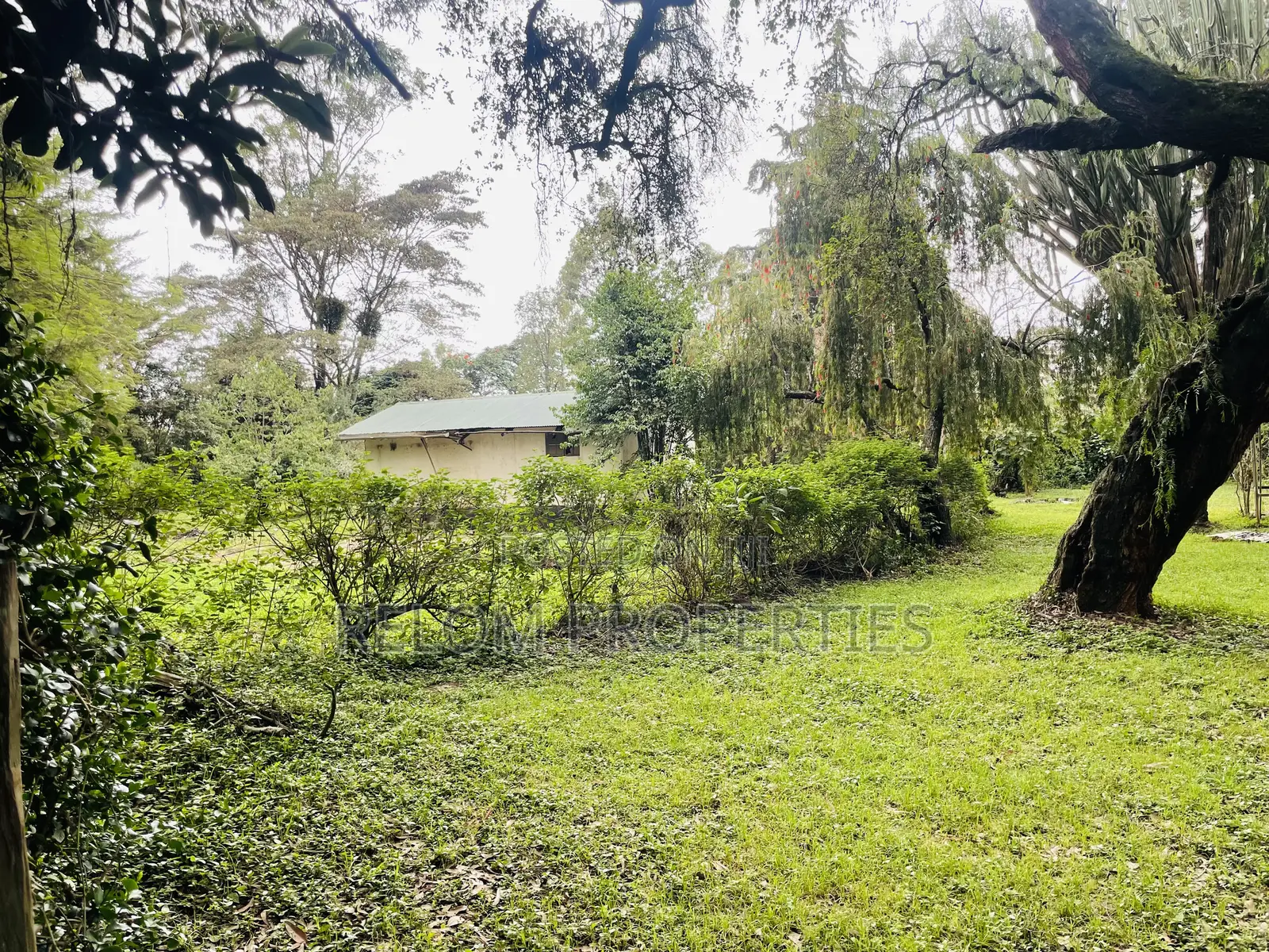 1 Acre Plot for Sale - Karen