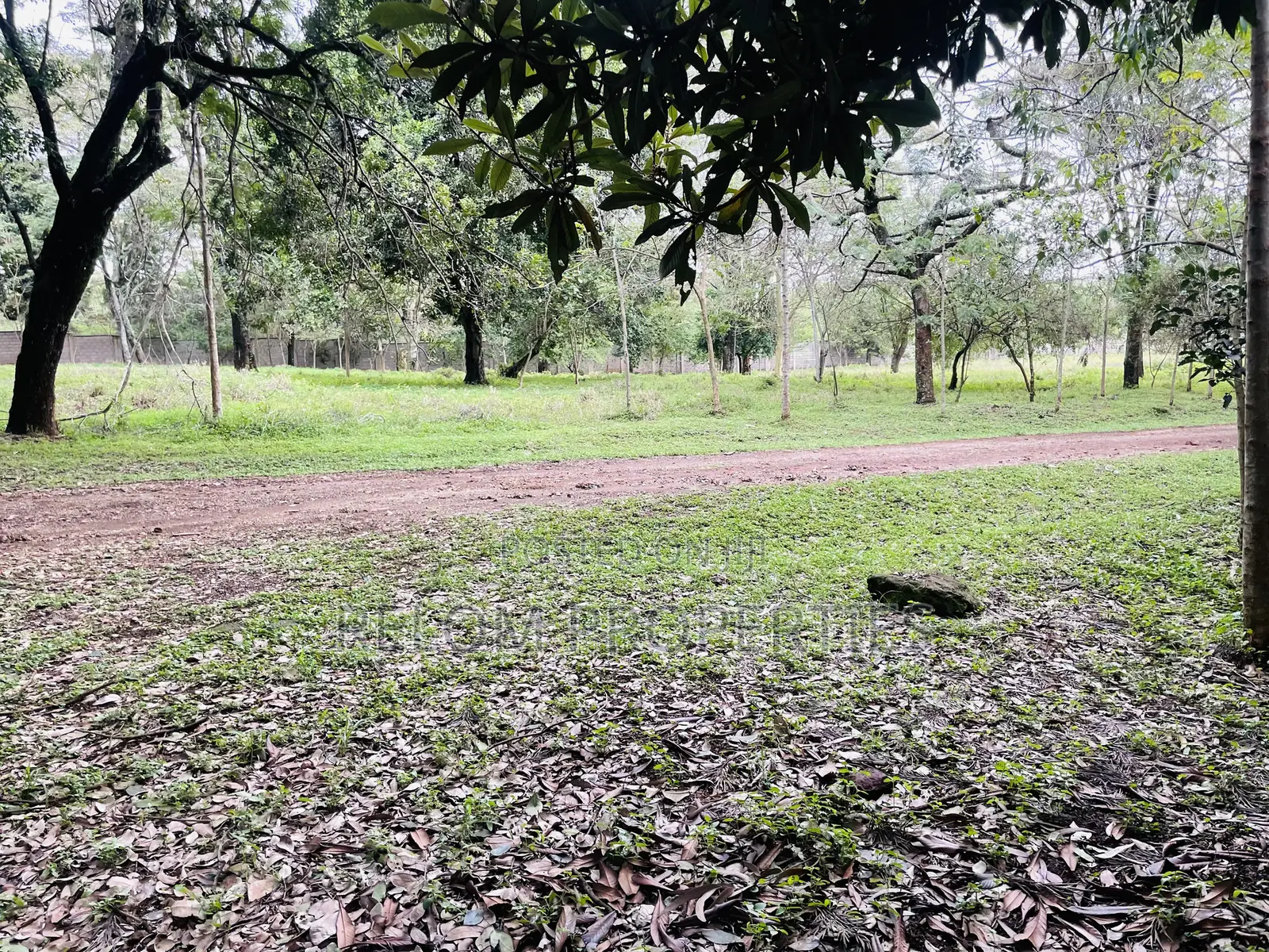 1 Acre Plot for Sale - Karen