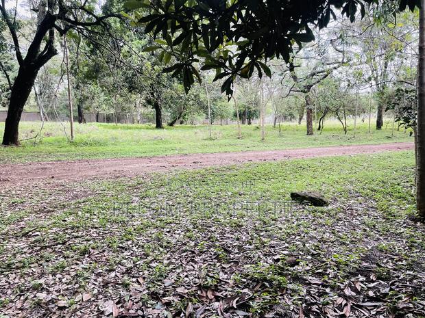 1 Acre Plot for Sale - Karen - thumbnail 3