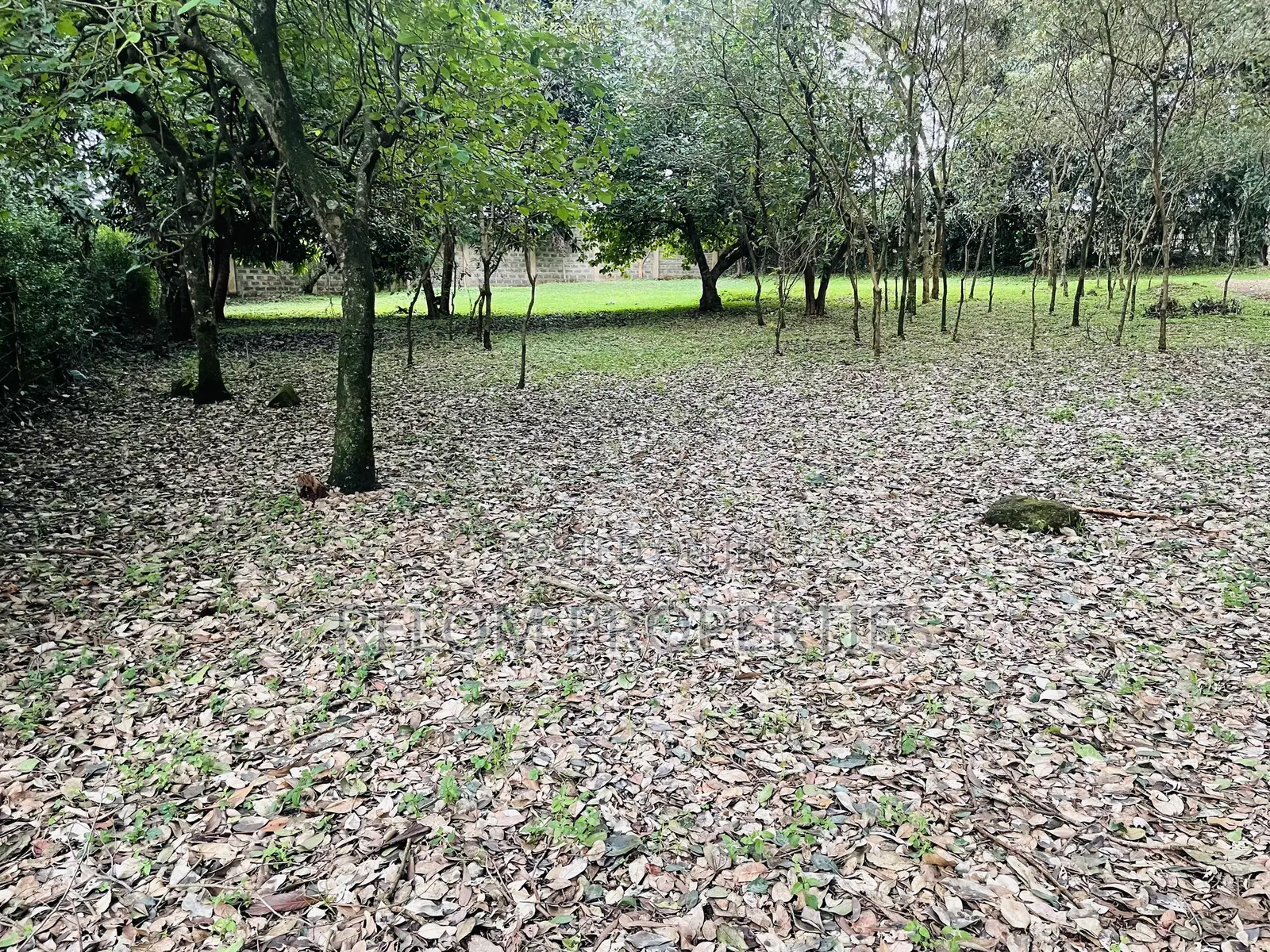 1 Acre Plot for Sale - Karen