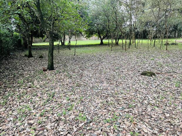 1 Acre Plot for Sale - Karen - thumbnail 5