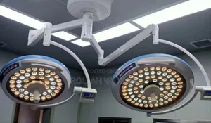 Double Arm Ceiling Mount Led Light