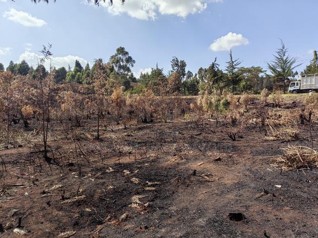 Half an Acre for Sale in Migumoini Kikuyu Kiambu County. - thumbnail 10