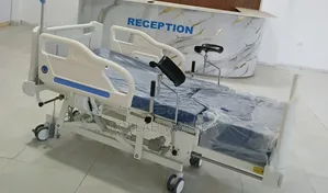 Electric Delivery Bed