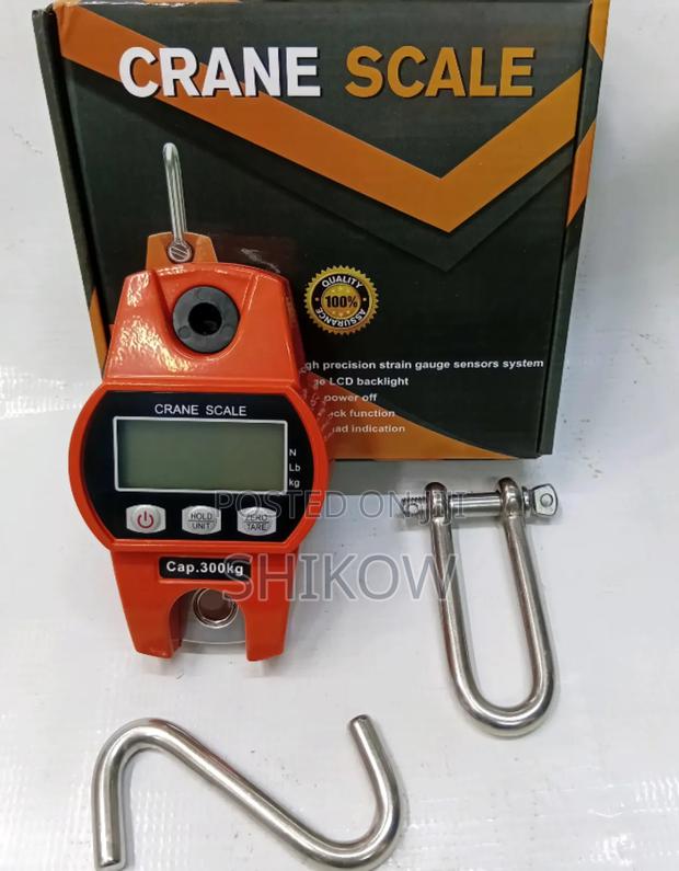 300kg High-Precision Crane Scale