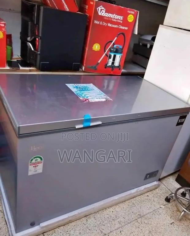 250litres Deep Freezer Rebune