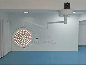 Theatre Light Single Arm Ceiling Mounted