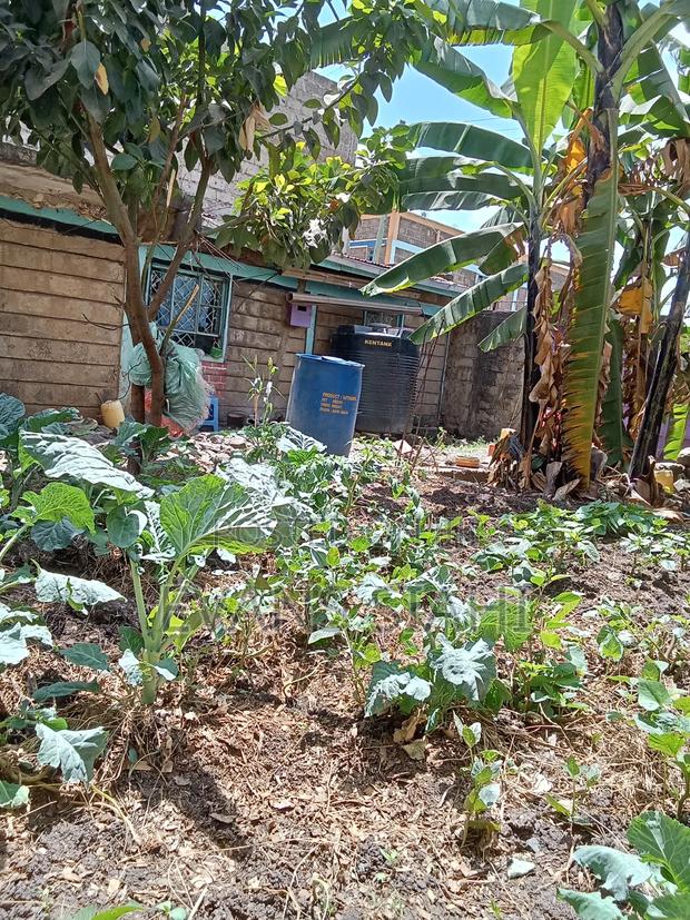 Prime Plot for Sale Githurai 45 - thumbnail 12