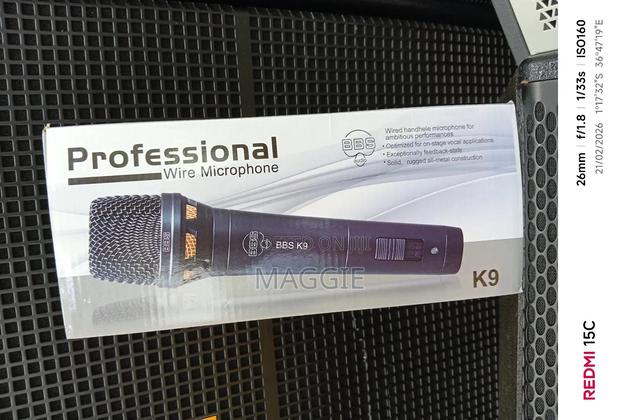 Professional Wire Microphone - main view