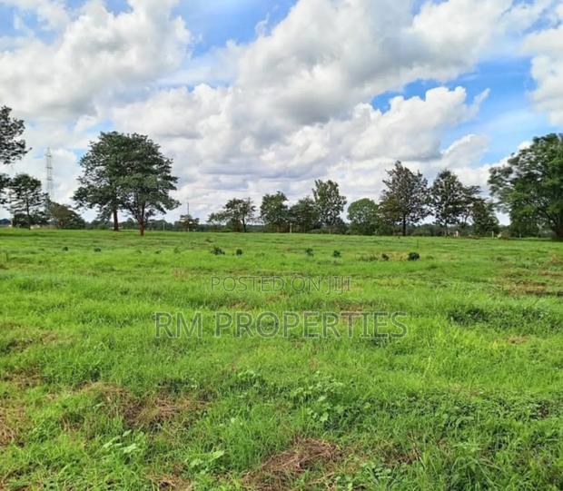 Juja Prime Land for Sale - thumbnail 2