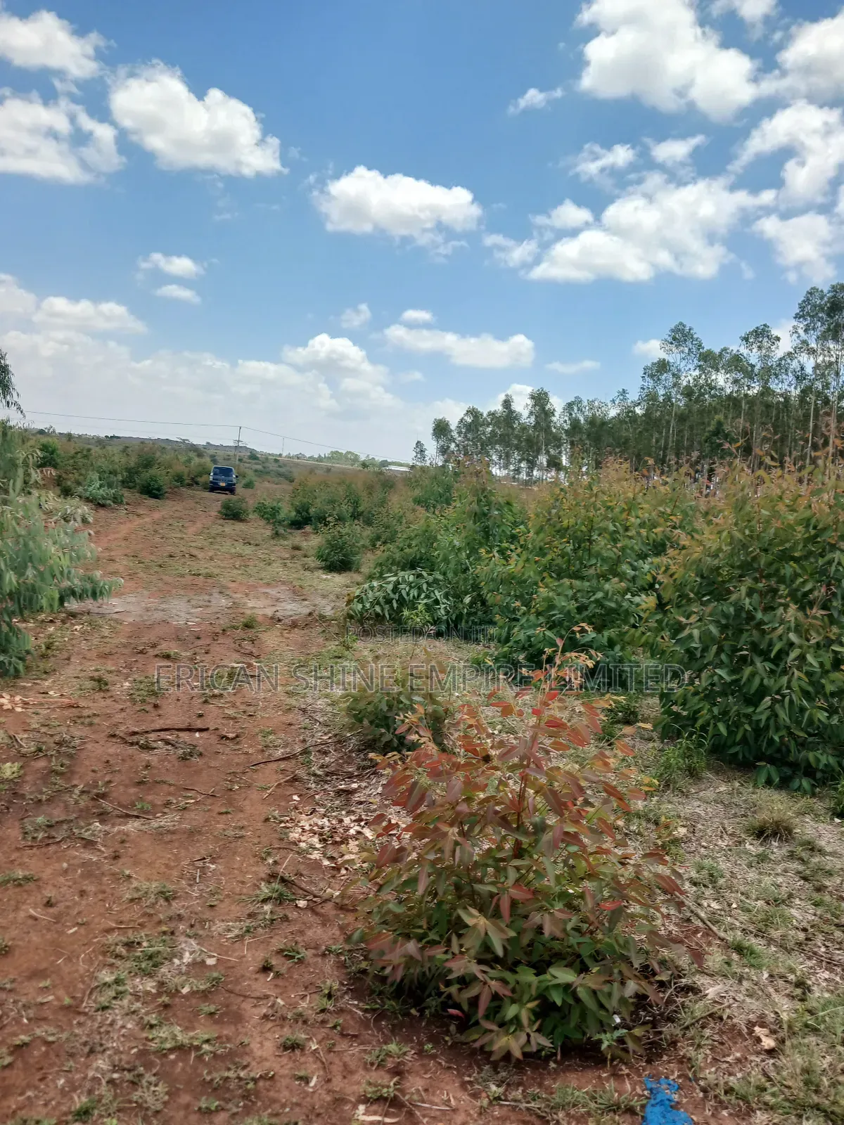 1 Acre for Sale in Ongata Rongai