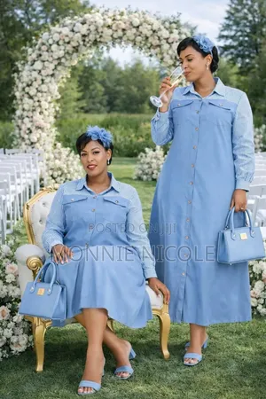 Beautiful Denim Shift Dress