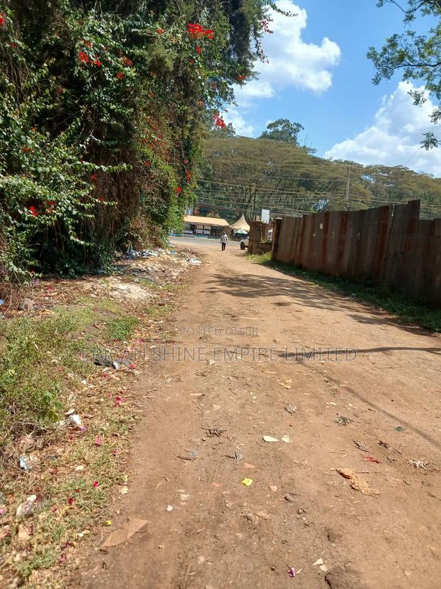 1/2 Acre for Sale - main view