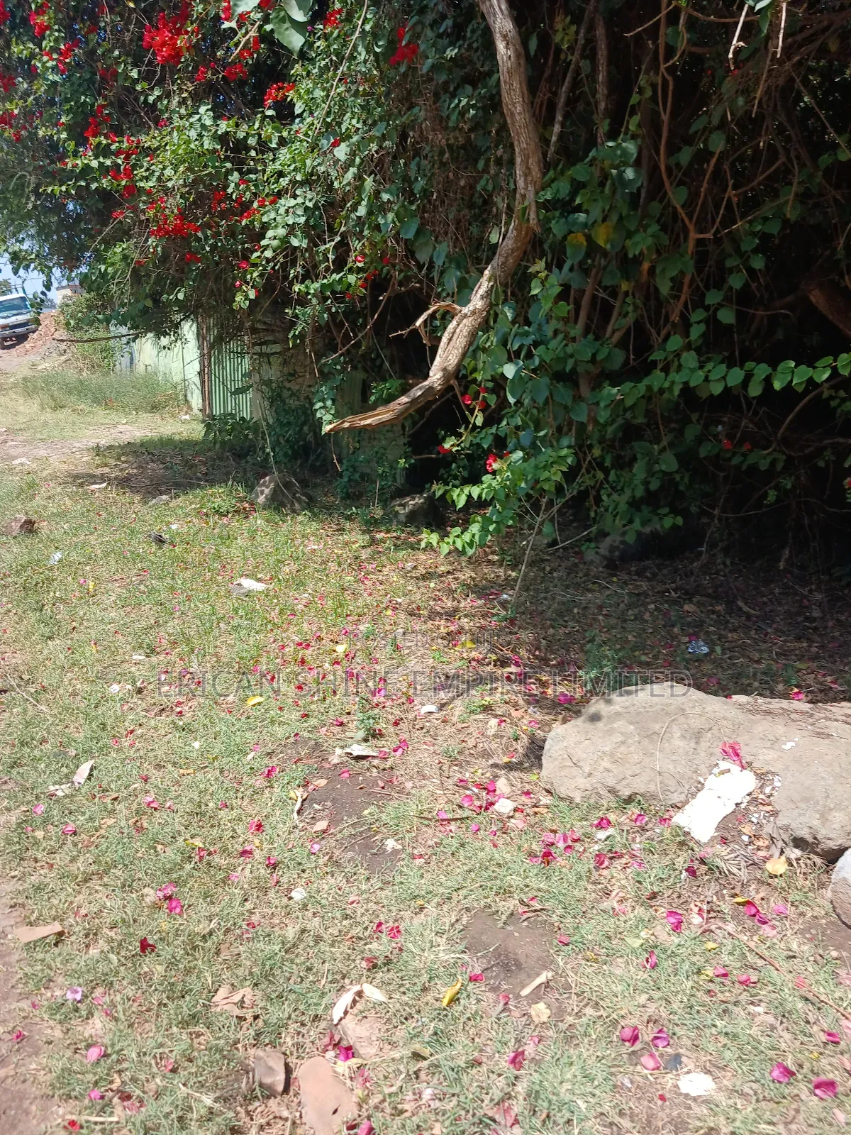1/2 Acre for Sale in Ngong