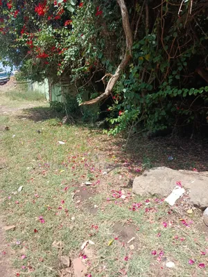 1/2 Acre for Sale in Ngong
