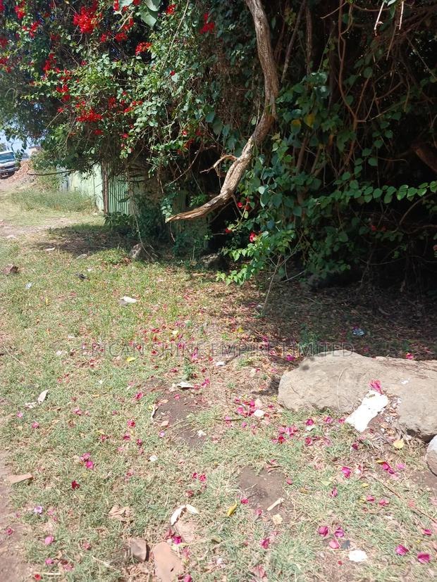 1/2 Acre for Sale - thumbnail 3