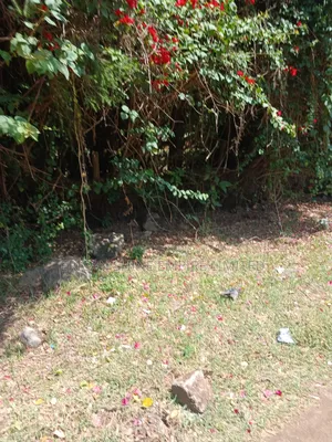 1/2 Acre for Sale in Ngong