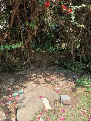 1/2 Acre for Sale in Ngong