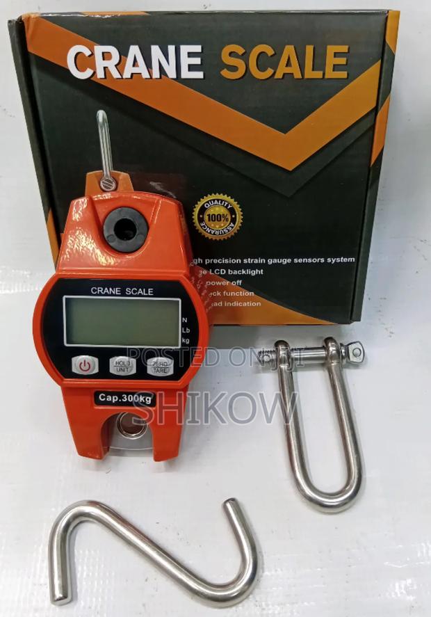 300kg Crane Scale