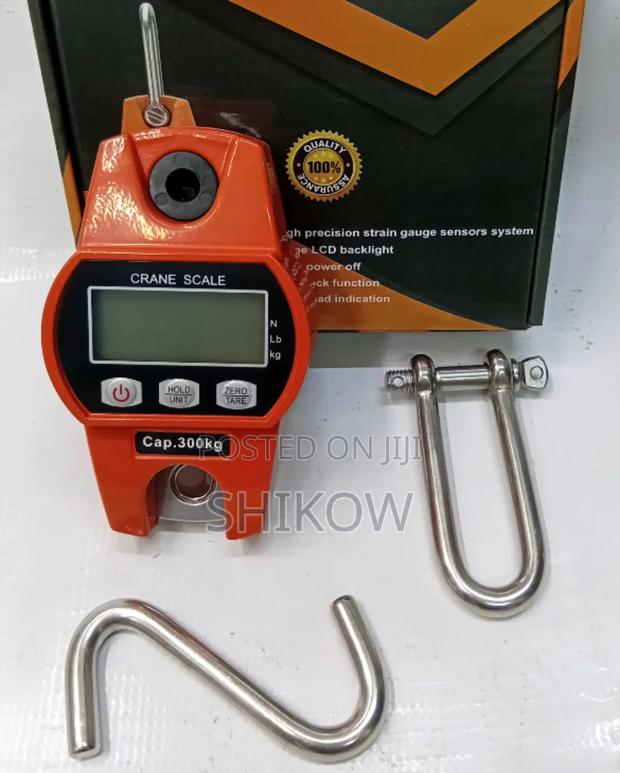 300kg Professional Warehouse Scale