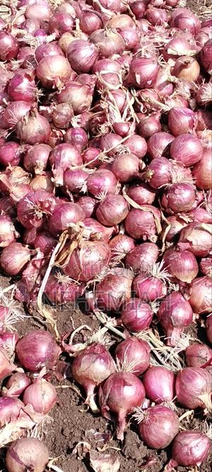Classic Onions - main view