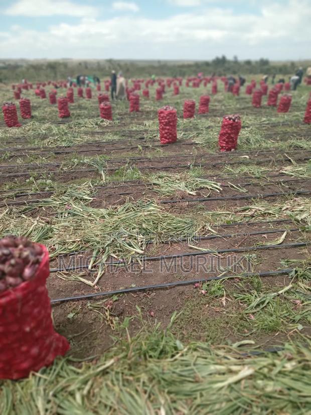 Dm Onions Wholesale - thumbnail 3