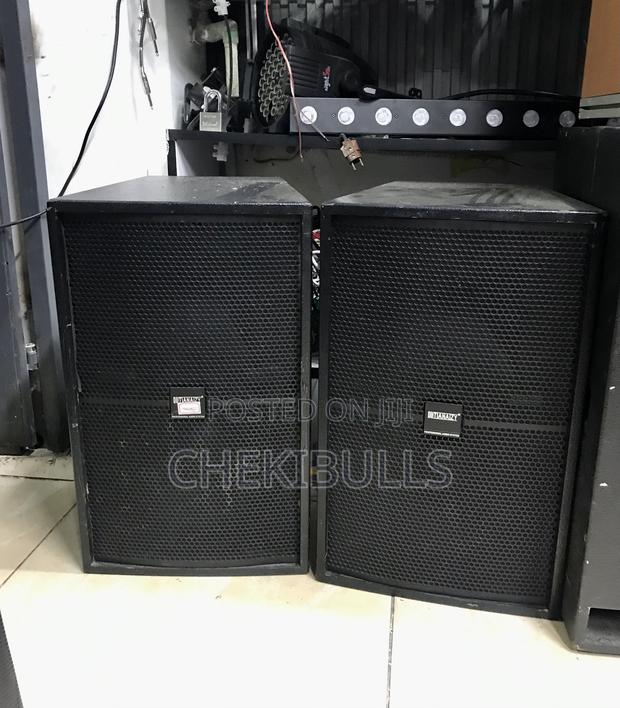 Tianaizy 15 Inch Mid Speakers-Heavy-Duty Workhorse for Live Sound Pa